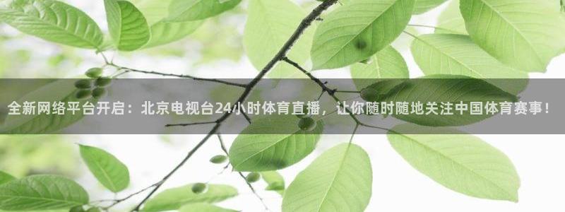 全新网络平台开启：北京电视台24小时体育直播，让你随时随地关注中国体育赛事！