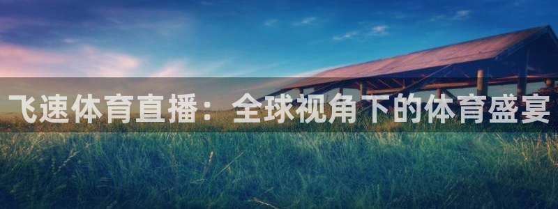 飞速体育直播：全球视角下的体育盛宴