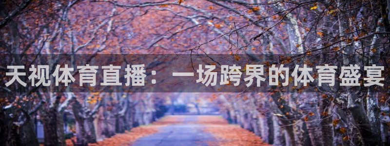 天视体育直播：一场跨界的体育盛宴