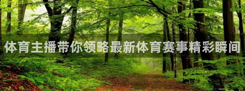 体育主播带你领略最新体育赛事精彩瞬间