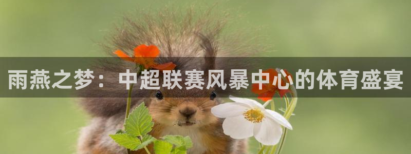 雨燕之梦：中超联赛风暴中心的体育盛宴