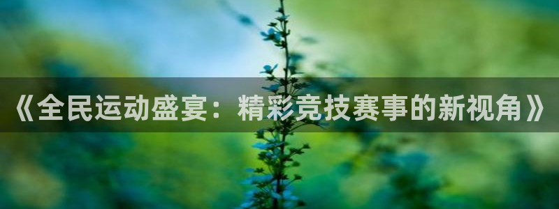 《全民运动盛宴：精彩竞技赛事的新视角》