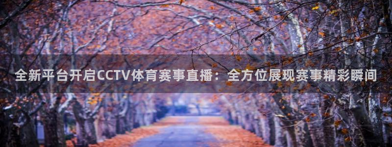 全新平台开启CCTV体育赛事直播：全方位展现赛事精彩瞬间