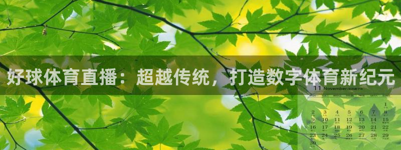 好球体育直播：超越传统，打造数字体育新纪元