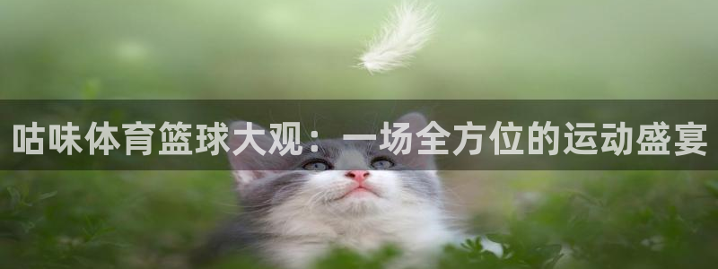 咕味体育篮球大观：一场全方位的运动盛宴