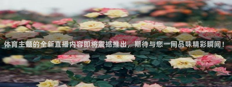 体育主题的全新直播内容即将震撼推出，期待与您一同品味精彩瞬间！