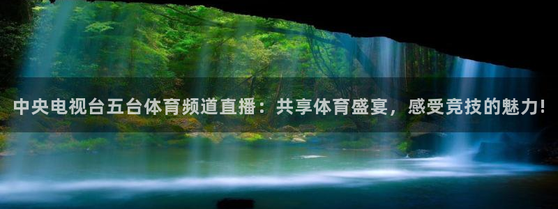 中央电视台五台体育频道直播：共享体育盛宴，感受竞技的魅力!