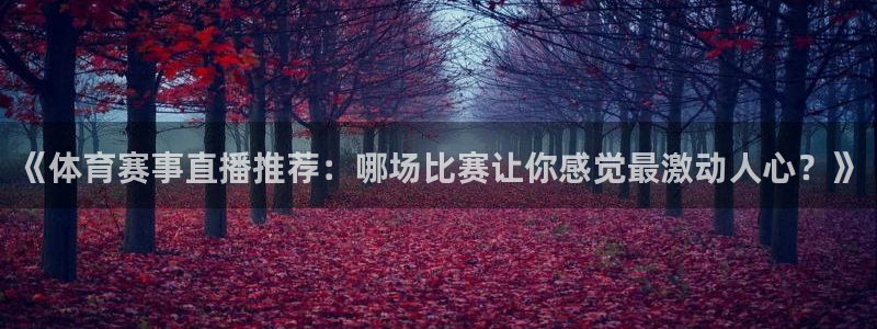 《体育赛事直播推荐：哪场比赛让你感觉最激动人心？》