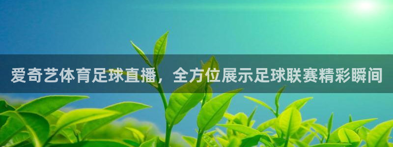爱奇艺体育足球直播，全方位展示足球联赛精彩瞬间