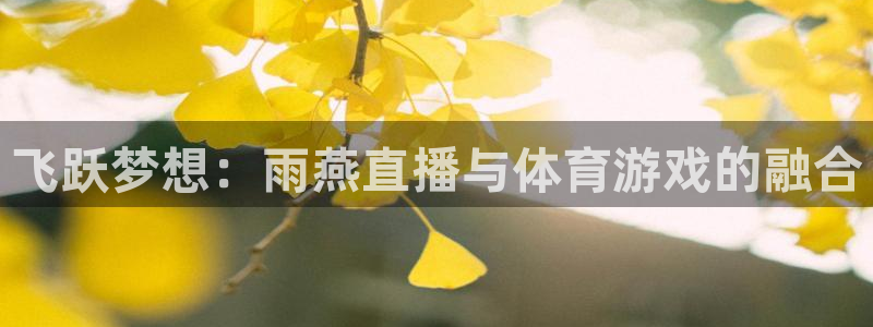 飞跃梦想：雨燕直播与体育游戏的融合