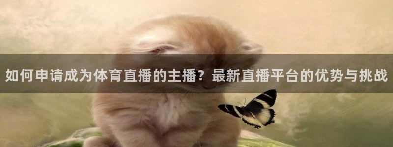 如何申请成为体育直播的主播？最新直播平台的优势与挑战