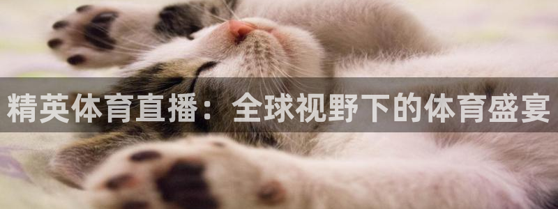 精英体育直播：全球视野下的体育盛宴
