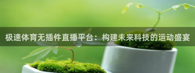极速体育无插件直播平台：构建未来科技的运动盛宴