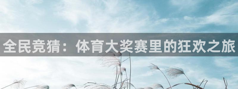 全民竞猜：体育大奖赛里的狂欢之旅