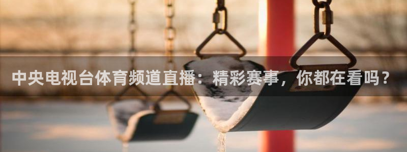 中央电视台体育频道直播：精彩赛事，你都在看吗？
