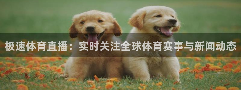 极速体育直播：实时关注全球体育赛事与新闻动态