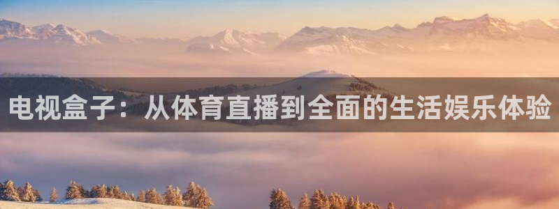 电视盒子：从体育直播到全面的生活娱乐体验
