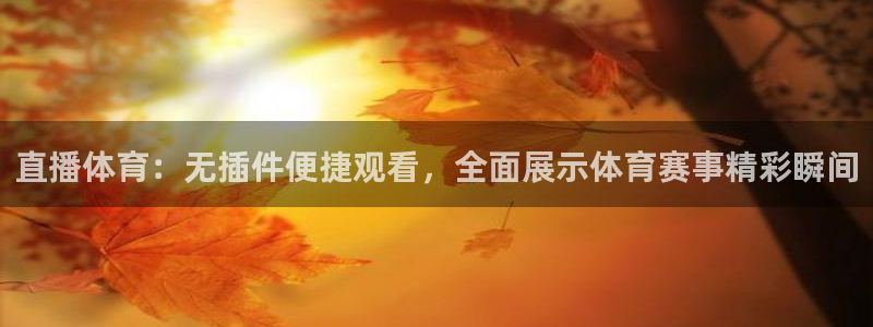 直播体育：无插件便捷观看，全面展示体育赛事精彩瞬间