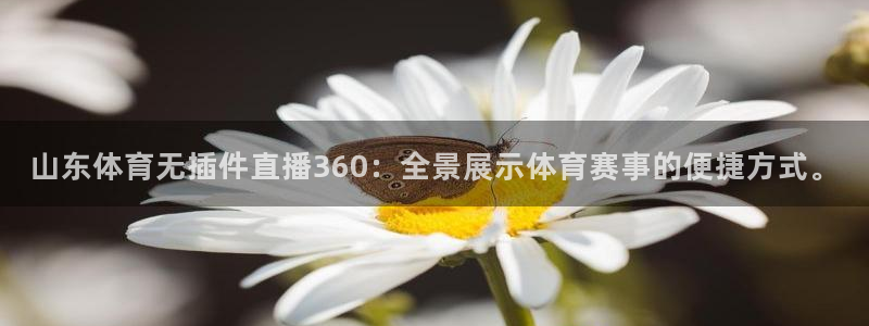 山东体育无插件直播360：全景展示体育赛事的便捷方式。